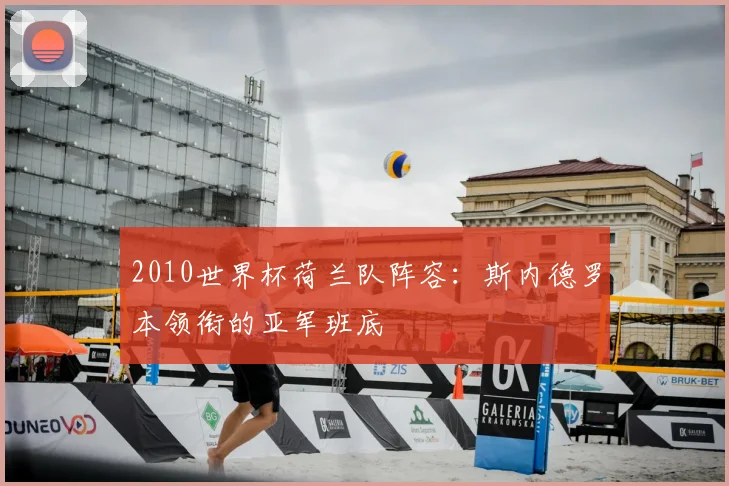 2010世界杯荷兰队阵容:斯内德罗本领衔的亚军班底