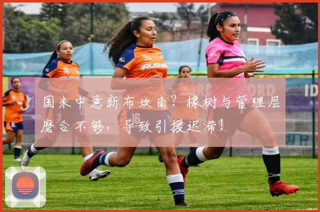 国米中意新布坎南？橡树与管理层磨合不够，导致引援迟滞！