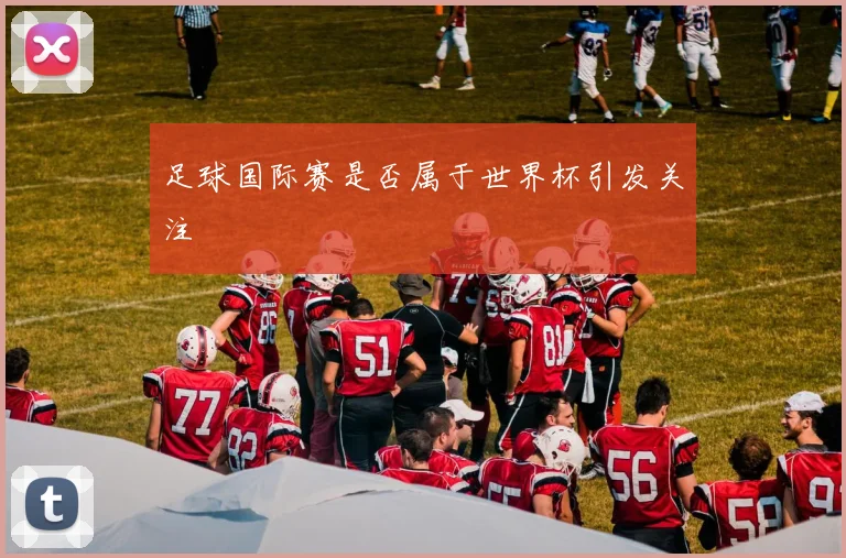 足球国际赛是否属于世界杯引发关注