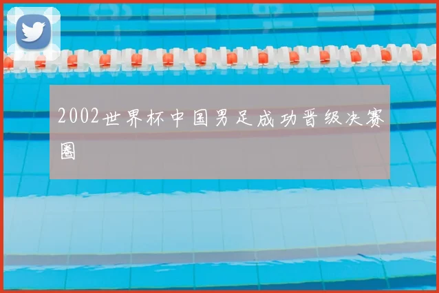 2002世界杯中国男足成功晋级决赛圈