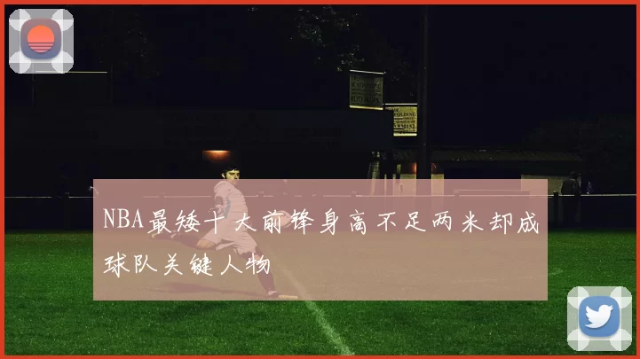 NBA最矮十大前锋身高不足两米却成球队关键人物