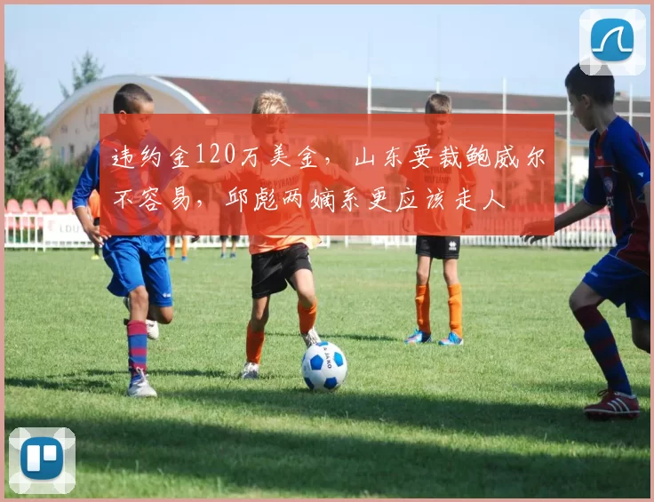 违约金120万美金，山东要裁鲍威尔不容易，邱彪两嫡系更应该走人