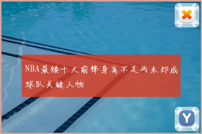 NBA最矮十大前锋身高不足两米却成球队关键人物