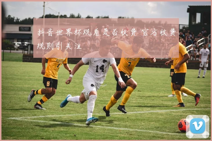 抖音世界杯观看是否收费 官方收费规则引关注